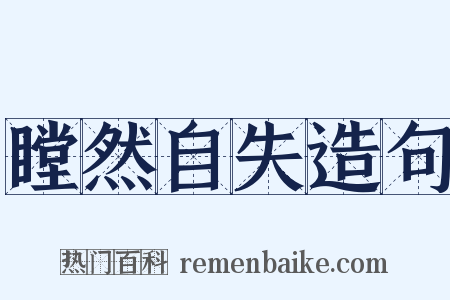 瞠然自失造句是什么意思的图片